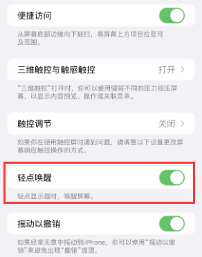 惠阳苹果授权维修站分享iPhone轻点无法唤醒怎么办 