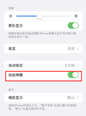 惠阳苹果授权维修站分享iPhone轻点无法唤醒怎么办