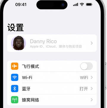 惠阳appleID维修服务iPhone设置中Apple ID显示为灰色无法使用 