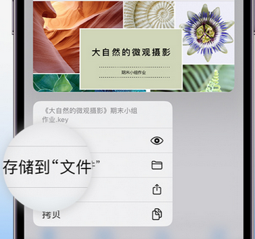 惠阳apple维修中心分享iPhone文件应用中存储和找到下载文件