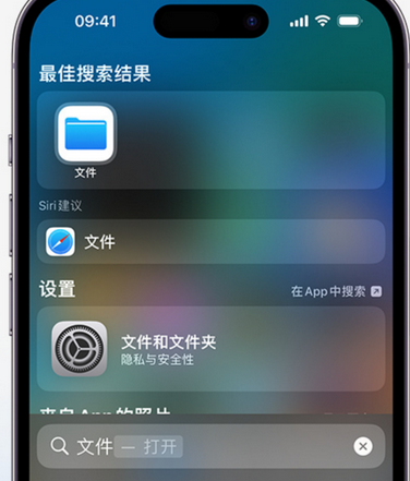 惠阳apple维修中心分享iPhone文件应用中存储和找到下载文件 