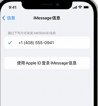 惠阳apple维修iPhone上无法正常发送iMessage信息 