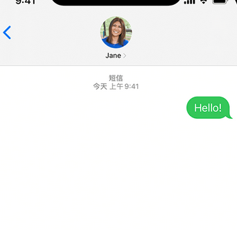 惠阳apple维修iPhone上无法正常发送iMessage信息