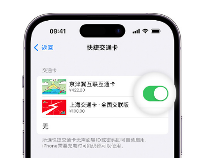 惠阳apple维修点分享iPhone上更换Apple Pay快捷交通卡手绘卡面 