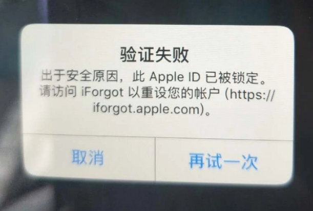 惠阳iPhone维修分享iPhone上正常登录或使用AppleID怎么办 