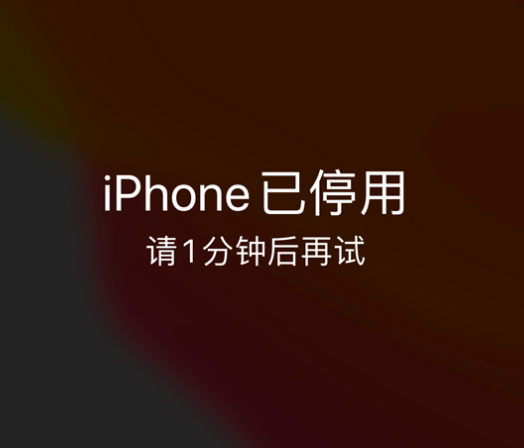 惠阳苹果手机维修分享:iPhone 显示“不可用”或“已停用”怎么办？还能保留数据吗？ 