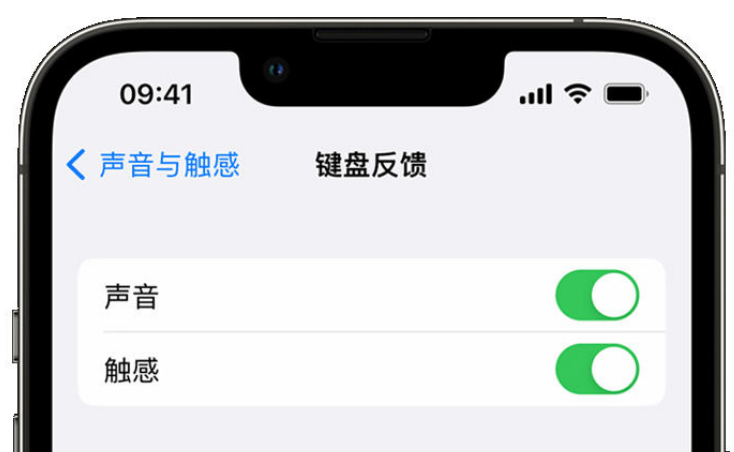 惠阳苹果手机维修分享iPhone 14触感键盘使用方法 