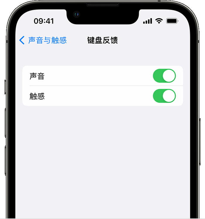 惠阳苹果14维修店分享如何在 iPhone 14 机型中使用触感键盘 