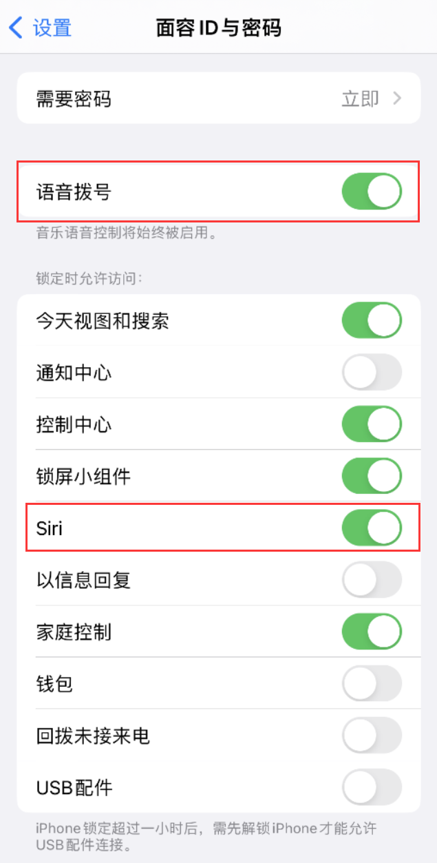 惠阳苹果维修网点分享不解锁 iPhone 的情况下通过 Siri 拨打电话的方法 