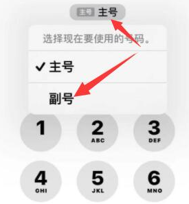 惠阳苹果14维修店分享iPhone 14 Pro Max使用副卡打电话的方法 