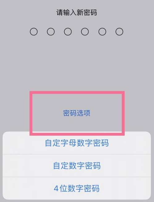 惠阳苹果14维修分享iPhone 14plus设置密码的方法 