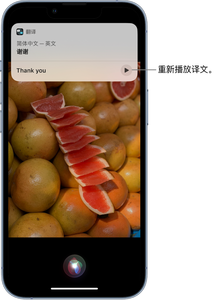 惠阳苹果14维修分享 iPhone 14 机型中使用 Siri：了解 Siri 能帮你做什么 