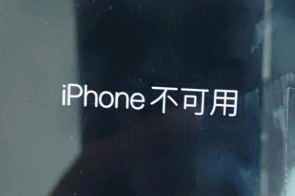 惠阳苹果服务网点分享锁屏界面显示“iPhone 不可用”如何解决 