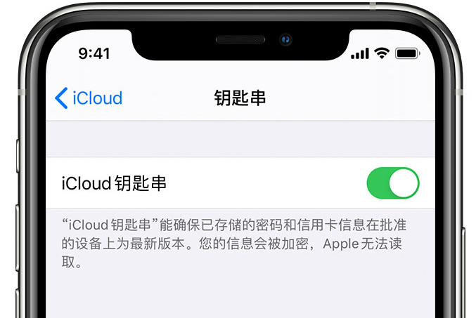 惠阳苹果手机维修分享在 iPhone 上开启 iCloud 钥匙串之后会储存哪些信息 