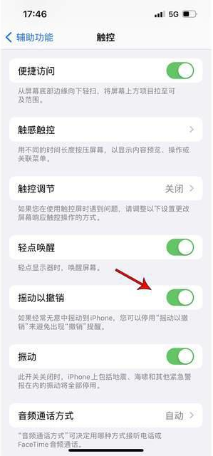 惠阳苹果手机维修分享iPhone手机如何设置摇一摇删除文字 